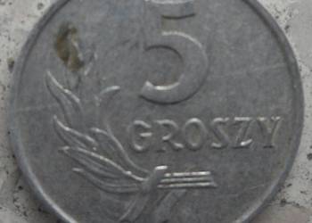 POLSKA-5 GROSZY-1963 r (b.z.)-AL-