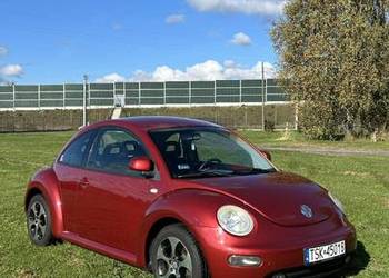 VW New Beetle Garbus VW New Beetle Garbus