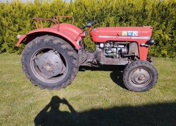 Ciągnik Massey Ferguson MF30