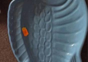 Półmisek fioletowy . Niebieski