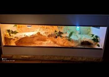 Okazja terrarium dla agamy gekona żółwia węża kameleona legwana boa pająka