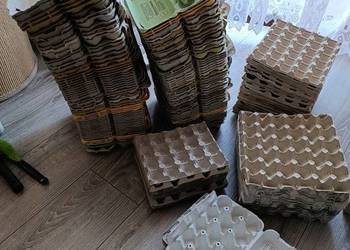 wytłaczanki pojemniki na jajka w sumie 161  sztuk