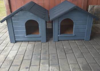 Buda dla psa