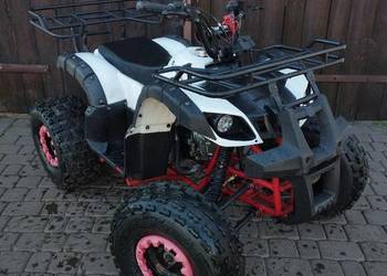 Quad Barron 125ccm