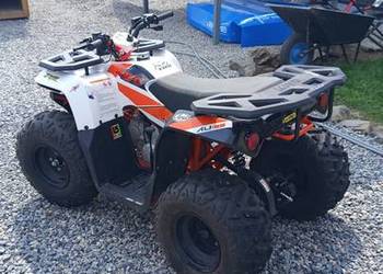 Quad KAYO au125 2024
