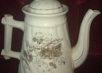 Dzbanek,  patyczak. Dzbanek,  patyczak.