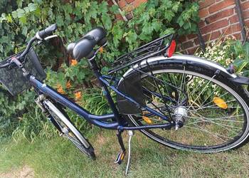 Rower Zundapp damka