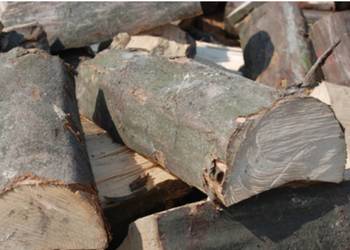 Drewno Kominkowe I Gałęziówka Buk Dąb Grab Brzoza Sosna Jesion SEZONOWANE