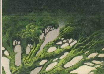 NATURA - KUNCEWICZOWA MARIA