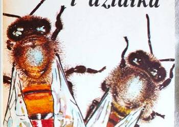 "Pszczoły i działka"  Jan PLEWA 1984r