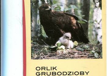 Komitet Ochrony Orłów Orlik Grubodzioby