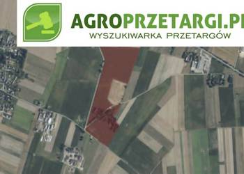 Dzierżawa 13,65 ha gruntu rolnego