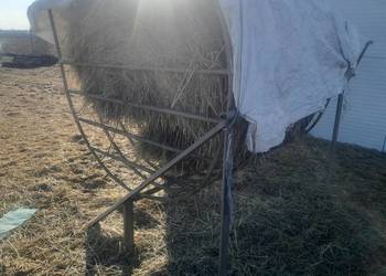 Pasnik dla owiec koz bydla