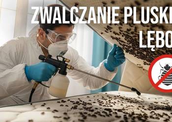 Zwalczanie pluskiew Lębork - Odpluskwianie, Dezynsekcja