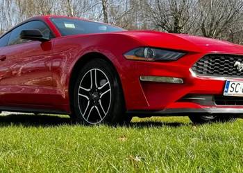Ford Mustang 2019 r 2,3 Eco Boost SUPER STAN