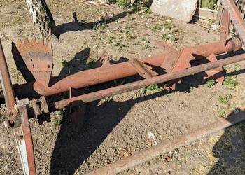 Adapter rozrzutnik Czarna białostocka