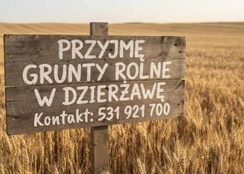 Przyjmę grunty rolne