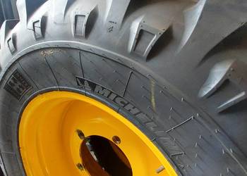 Kola ostrowek lub ursus