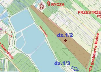 sprzedam LAS - ok.8ha Grabowce Dolne k/Ryk