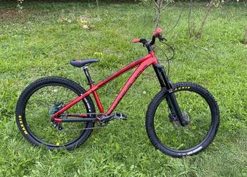 Dartmoor Hornet dh/freeride