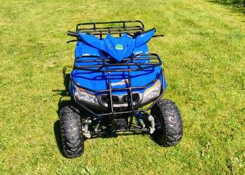 Quad ATV BMW 125cc polecam.
