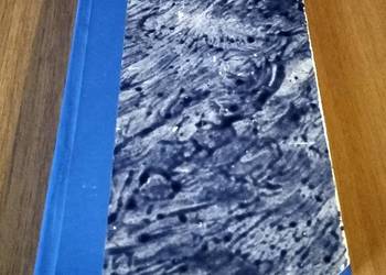 Bhagawad Gita : Pieśń Pana / przekł. Wandy Dynowskiej Dynowska Twarda