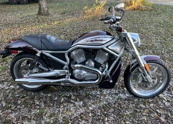 Harley-Davidson VRSCR Street Rod Vrod