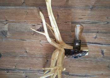 kinkiet ścienny - naturalny korzeń
