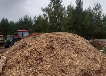 Zrębki leśne, kompostowe