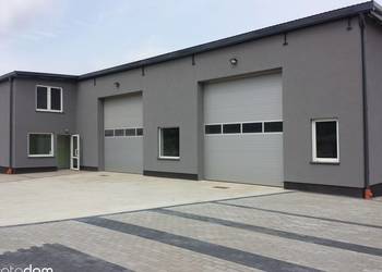 Hala  241 m w Redzie Pieleszewo