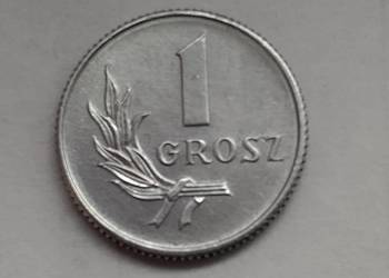 Moneta PRL 1 grosz 1949