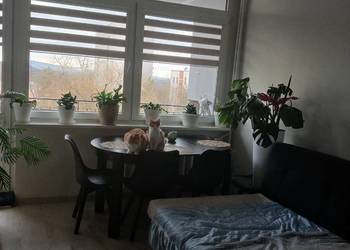 Atrakcyjne duże 3 pokojowe mieszkanie