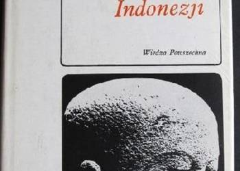 Sztuka Indonezji - Andrzej Jakimowicz