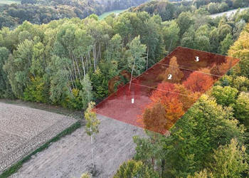 Działka Zagórze 613m2