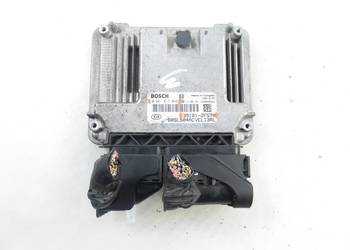 STEROWNIK KIA SPORTAGE III 2.0 CRDi 0281017046 391012F570