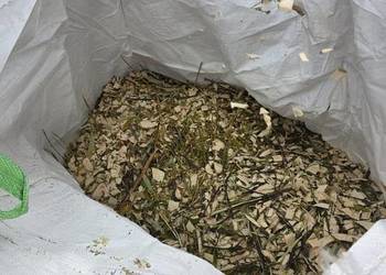 Oczyszczanie działek pod budowę