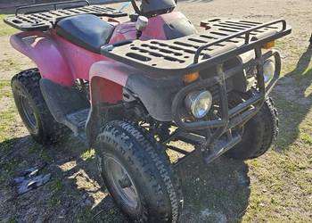 Quad Reinmech MT175H