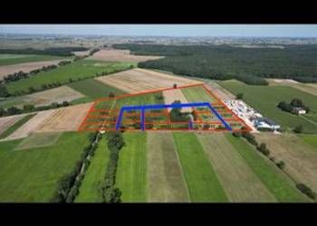 Działki z prawem do zabudowy Skotniki k/Ozorkowa od 1000 do 3000m2 M.P.Z.P. Działki z prawem do zabudowy Skotniki k/Ozorkowa od 1000 do 3000m2 M.P.Z.P.