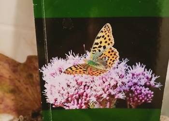 Unieść się na fali wiersze wyjątkowe wydanie książki unikaty