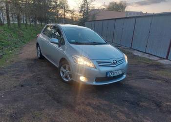 Auris 2010 r