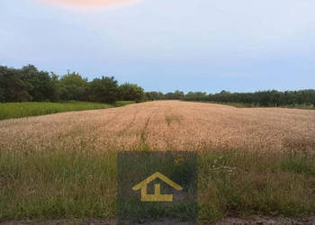 Działka w Nadbrzeżu