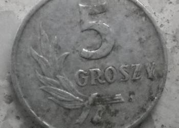 POLSKA-5 GROSZY-1962 r (b.z.)-AL-