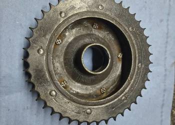 Zabierak zębatka tył WSK B1 WFM