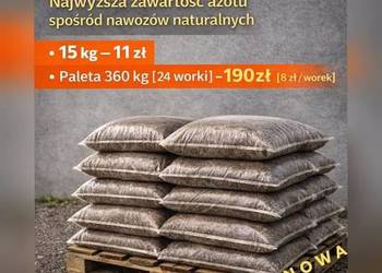 Kurzak - bezściółkowy obornik kurzy | 15kg | DOSTAWA | Naturalny nawóz