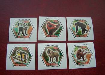 Czad 2014 MNH Fauna Zwierzęta Małpy