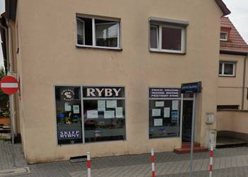 LOKAL 75m OPOLE 1MAJA DUŻE WITRYNY