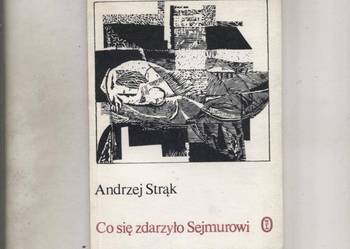 Co się zdarzyło Sejmurowi - Andrzej Strąk