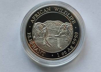 Moneta / SOMALIA 100 SHILLINGS 2020 / SŁONIE