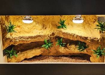 Okazja terrarium dla gekona lamparciego agamy brodatej