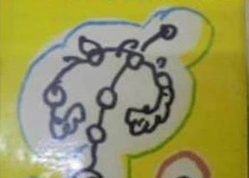 CZASZKA W CZASZCE - WOJCIECHOWSKI PIOTR